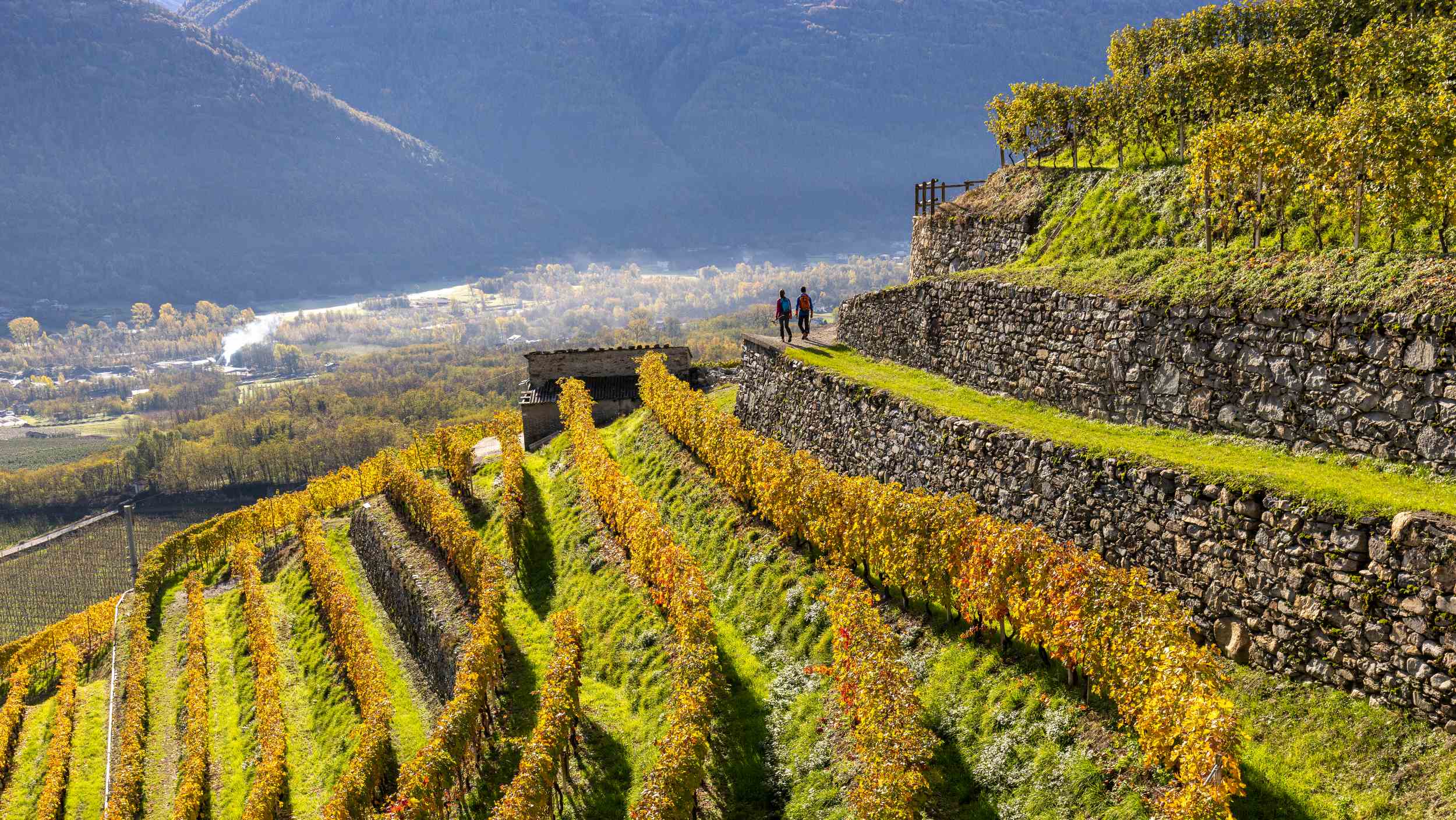 terrazzamenti_cammino_mariano_delle_alpi_11zon.jpg